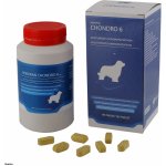 Roboran Chondro 6 pro psy 180 cps – Zbozi.Blesk.cz