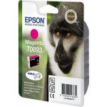 Epson C13T0893 - originální – Hledejceny.cz
