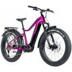 Leader Fox Brasa 2024 – Zboží Mobilmania