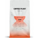 Coffee Plant Kávová rostlina Kávová rostlina Nízký květ zrnková 0,8 kg – Hledejceny.cz