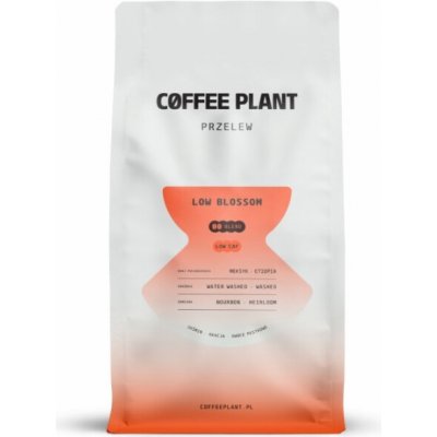 Coffee Plant Kávová rostlina Kávová rostlina Nízký květ zrnková 0,8 kg – Hledejceny.cz