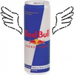 Red Bull 0,355l plech – Zbozi.Blesk.cz