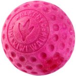 Kiwi Walker Hračka pes BALL MAXI plov. z TPR pěny – Zboží Dáma
