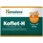 Himalaya Koflet H Ginger 12 pastilek – Hledejceny.cz
