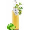 Šťáva Sirupárna Domácí Angrešt & Limeta Sirup 100 ml