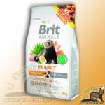 Brit Animals Ferret 0,7 kg – Zbozi.Blesk.cz