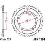 JT Sprockets JTR 1304-45 | Zboží Auto