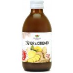 EkoMedica Zázvor s citronem 250 ml – Hledejceny.cz