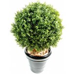 Umělý Zimostráz - Buxus koule průměr 25cm, 35cm – Sleviste.cz