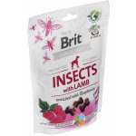 Brit Care Dog Crunchy Cracker Insects with Lamb enriched with Raspberries 200 g – Hledejceny.cz