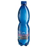 Magnesia Přírodní neperlivá 0,5 l – Hledejceny.cz