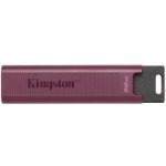 Kingston DataTraveler Max 512GB DTMAXA/512GB – Zboží Mobilmania