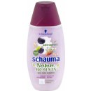 Schauma Nature Moments Hair Smoothie šampon Mandlové mléko a Ovesné vločky 400 ml