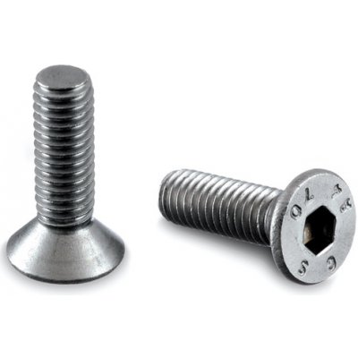 Hahn Steel Imbusový šroub M5 x 25 mm – Sleviste.cz