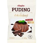 Amylon puding čokoládový bez lepku 40 g – Zboží Mobilmania