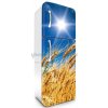 Tapety Dimex FR180-030 Samolepící fototapeta na lednice Wheat Field rozměry 65 x 180 cm