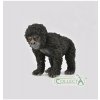 Figurka MAC TOYS Gorila horská mládě