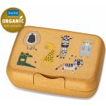 Koziol dětský svačinový box Candy L Zoo – Zboží Dáma