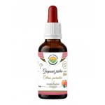 Salvia Paradise Grepová jádra - Citrus paradisi AF tinktura 50 ml – Hledejceny.cz