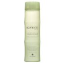 Alterna Bamboo Shine Luminous Conditioner pro zářivý lesk 250 ml