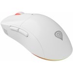 Genesis ZIRCON XIII NMG-2090 – Zboží Živě