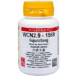 Sinecura WCN2.9 liujunzitang 60 tablet – Hledejceny.cz