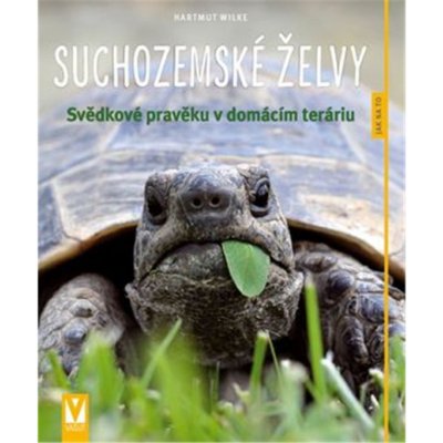 Suchozemské želvy – Zbozi.Blesk.cz