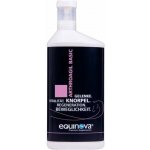 Equinova Arthroagil Basic 1 l – Hledejceny.cz