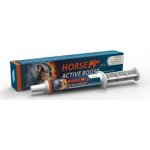 BIOVETA Horse Active Boost 20 g – Zboží Mobilmania