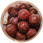 Karel Nikl Nikl Boilies v dipu Gigantica 24 mm 250 g – Hledejceny.cz