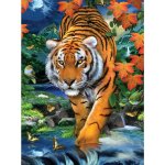Royal Langnickel Malování podle čísel 22 x 30 cm Tygr u vody – Hledejceny.cz