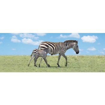 Záložka – Úžaska - Zebry
