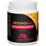 Superionherbs Triterpen Max extrakt z Duanwood Red Reishi 20 % triterpenů 90 tobolek – Hledejceny.cz