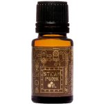 Pan Drwal Steam Punk olej na vousy 10 ml – Zbozi.Blesk.cz