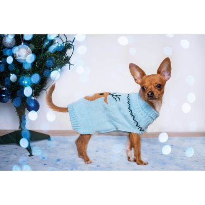 Vsepropejska Blixem vánoční svetr pro psa