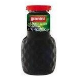 Granini Černý rybíz nektar vratná láhev 24 x 200 ml – Zboží Dáma