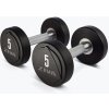 Ziva Solid Steel Urethane Studio Dumbbell jednoruční činka pár 10 kg