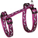 Trixie Postroj pro kočky s vodítkem vzor kočky 27 - 45 cm 10 mm 1.20 m – Zboží Dáma
