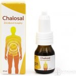 Rosen Chalosal žlučníkové kapky 10 ml – Sleviste.cz