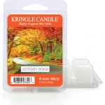 Kringle Candle Autumn Road Vonný Vosk 64 g – Zboží Dáma
