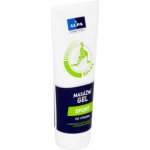 Alpa masážní Sportgel 210 ml – Zbozi.Blesk.cz