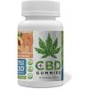 Doplněk stravy na spánek a nervovou soustavu Euphoria CBD Gummies bonbóny Broskev 375 mg CBD 15 ks x 25 mg