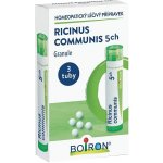 RICINUS COMMUNIS POR 5CH GRA 3X4G – Zboží Dáma