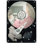 Seagate Pipeline 320GB, 3,5", 7200rpm, SATAII, ST3320310CS – Hledejceny.cz