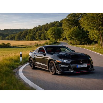 Ford Mustang GT 5.0 SHELBY – legendární jízda s osmiválcem – Hledejceny.cz