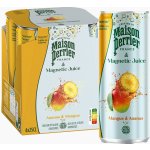 Perrier & Juice plech Ananas & Mango 250 ml – Hledejceny.cz