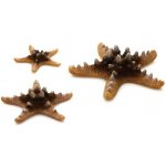 BiOrb Sea Stars set přírodní 10, 8 a 5 cm – Hledejceny.cz