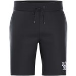 Björn Borg Essential shorts beauty black – Hledejceny.cz