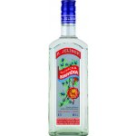 R. Jelínek Slovácká borovička 45% 0,7 l (holá láhev) – Zboží Mobilmania
