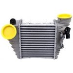 INTERCOOLER OCTAVIA AUDI A3 VW BORA GOLF IV SEAT LEON TOLEDO 1.9 TDI ASZ 1J0145803M VIKA | Zboží Auto